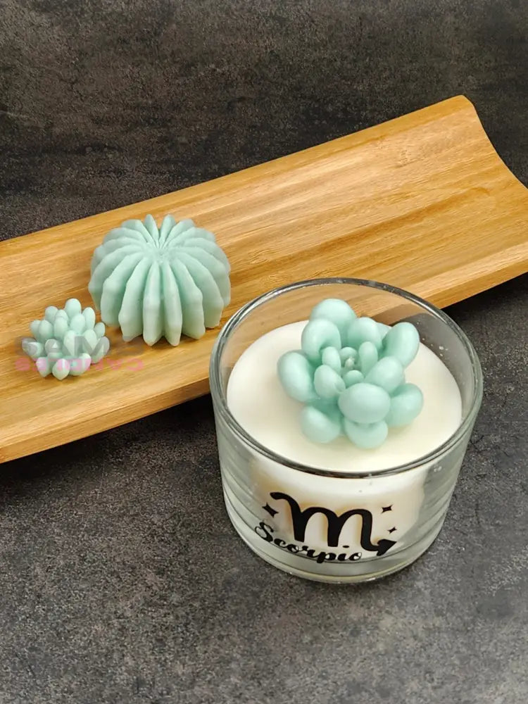 Cactus Jar